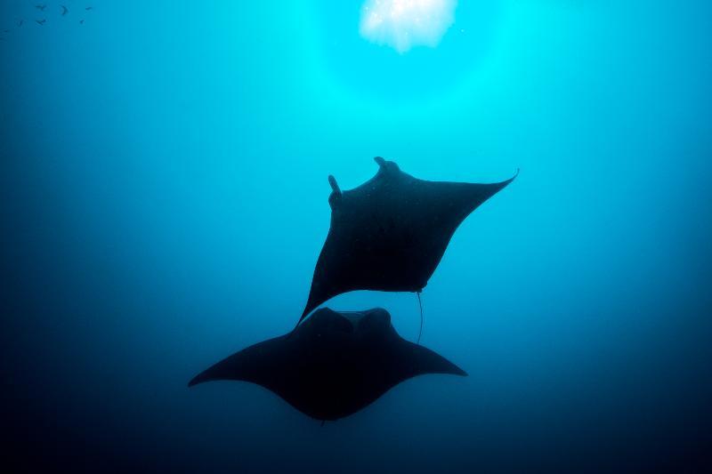 You And Me By Cocoon Maldives Muravandhoo Экстерьер фото